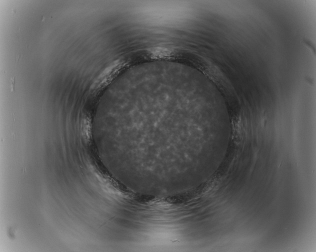 X0000103290648200809122009