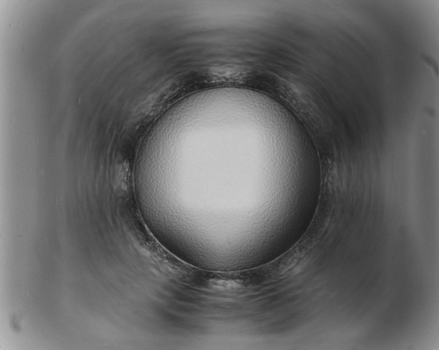 X0000103290649200809122009