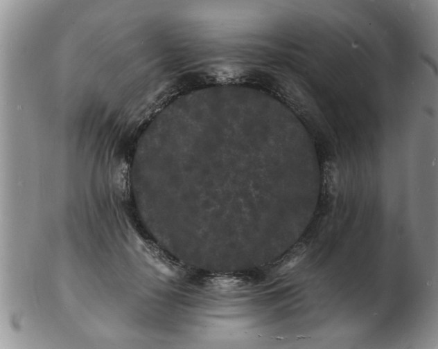 X0000103290650200809122009