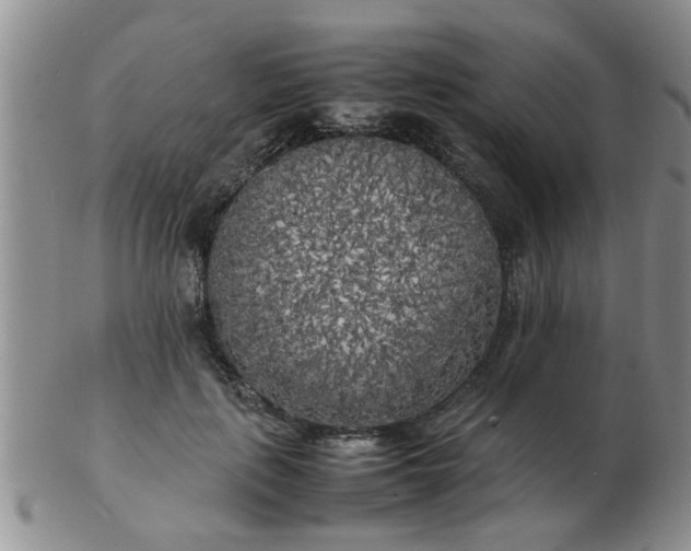 X0000103290651200809122009