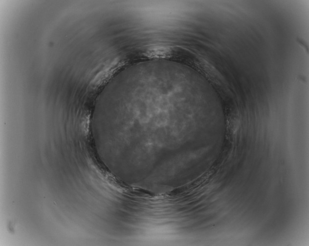 X0000103290652200809122009