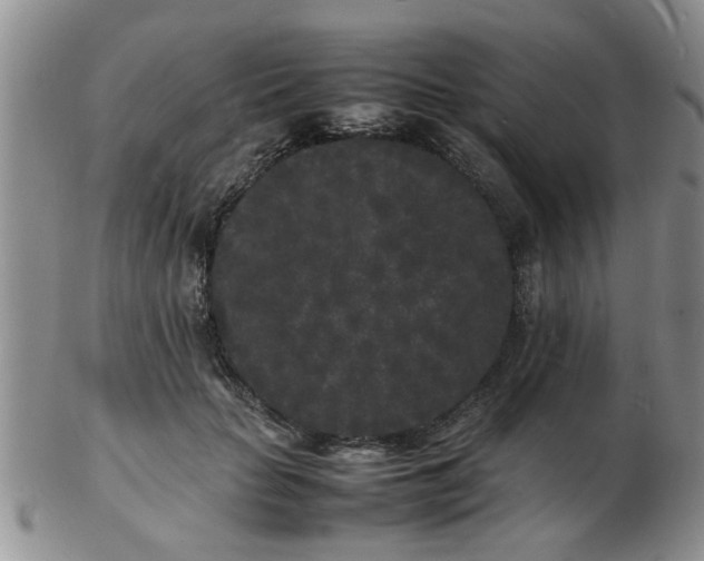 X0000103290653200809122009