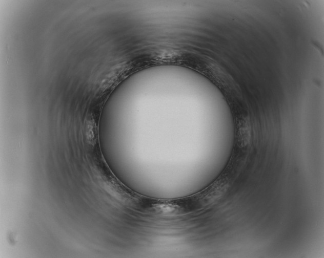 X0000103290654200809122009