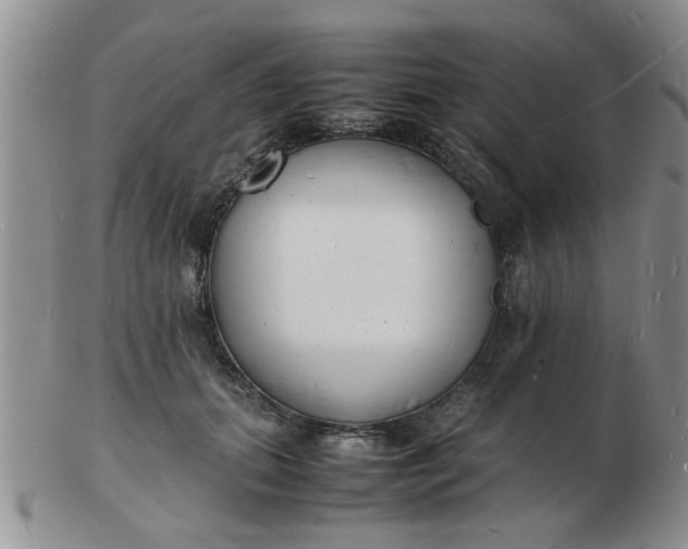 X0000103290655200809122009