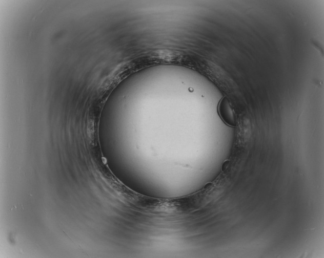 X0000103290656200809122009