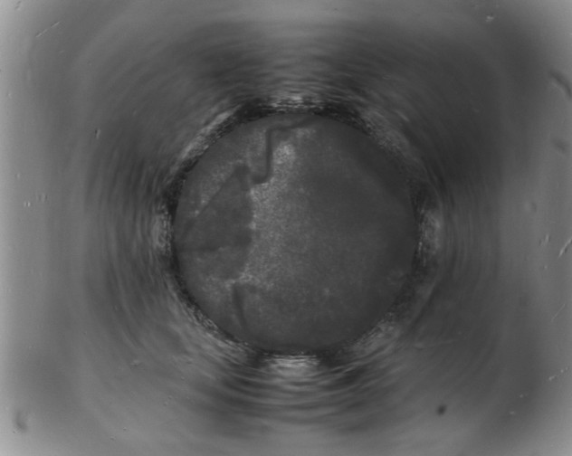 X0000103290659200809122009