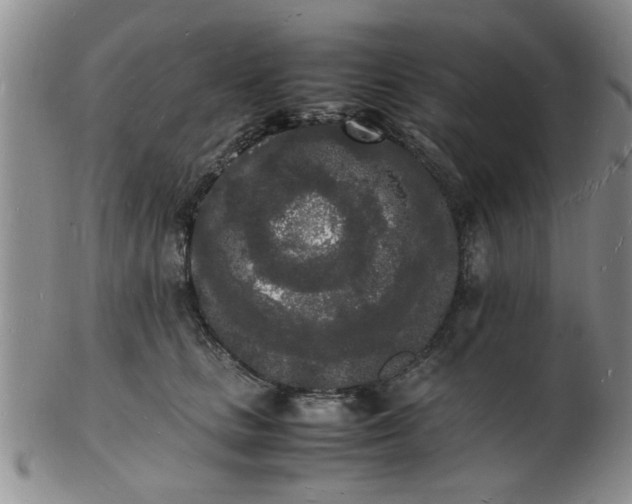 X0000103290661200809122009