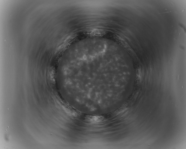 X0000103290663200809122009