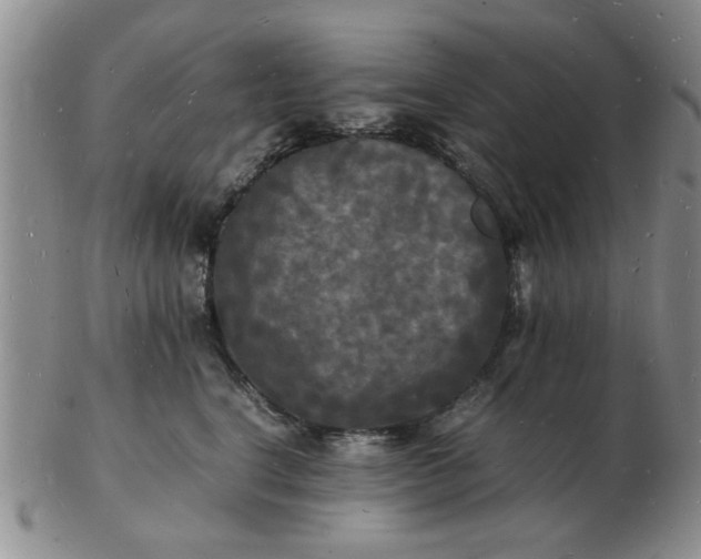 X0000103290664200809122009