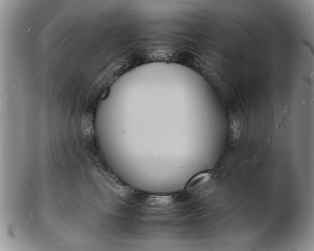 X0000103290665200809122009