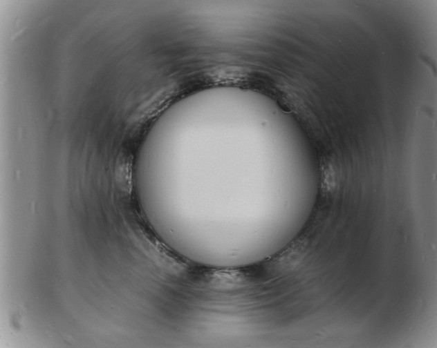 X0000103290666200809122009