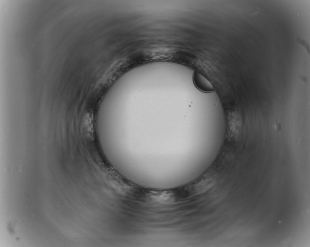 X0000103290667200809122009