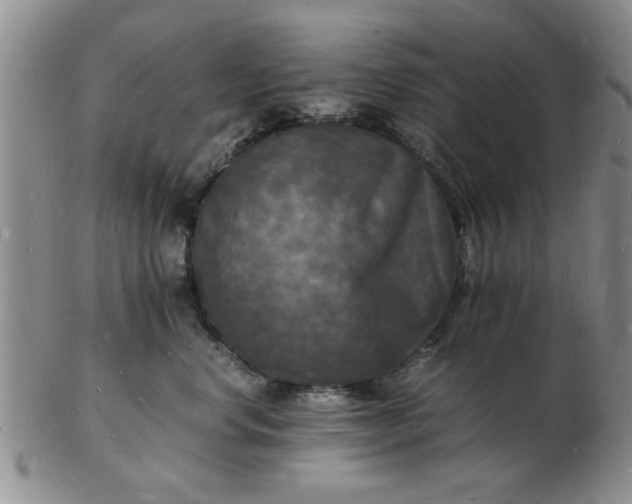 X0000103290668200809122009