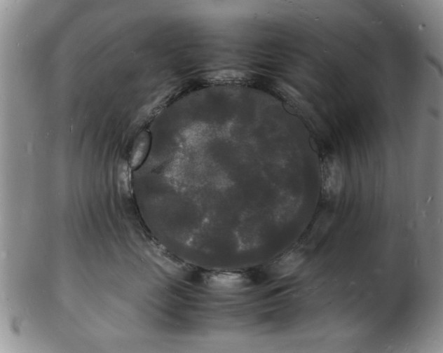 X0000103290669200809122009