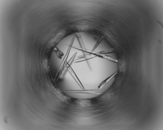 X0000103290670200809122009