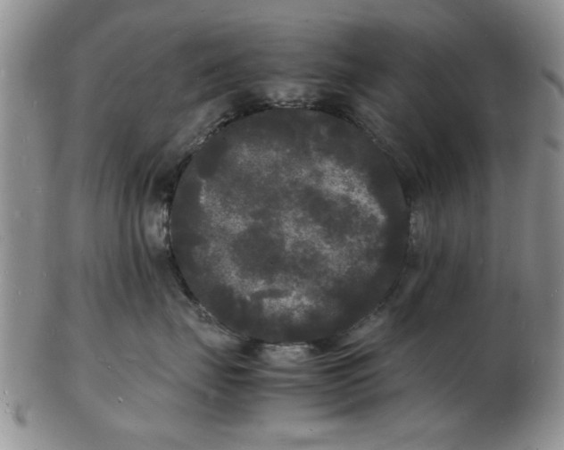 X0000103290671200809122009