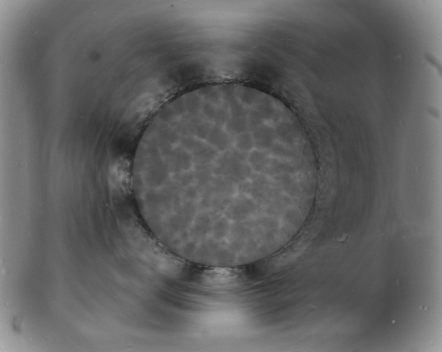 X0000103290672200809122009