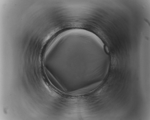 X0000103290674200809122008