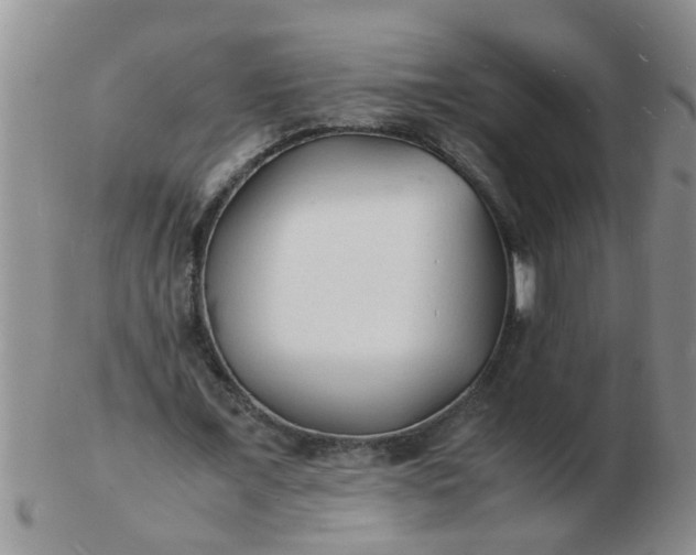 X0000103290675200809122008