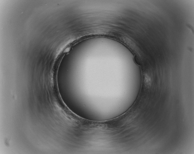 X0000103290676200809122008