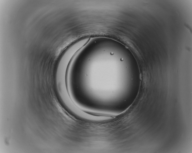 X0000103290677200809122008