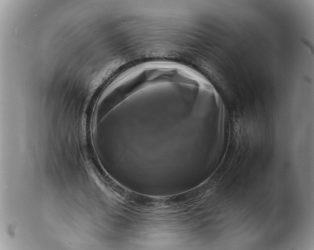 X0000103290678200809122008