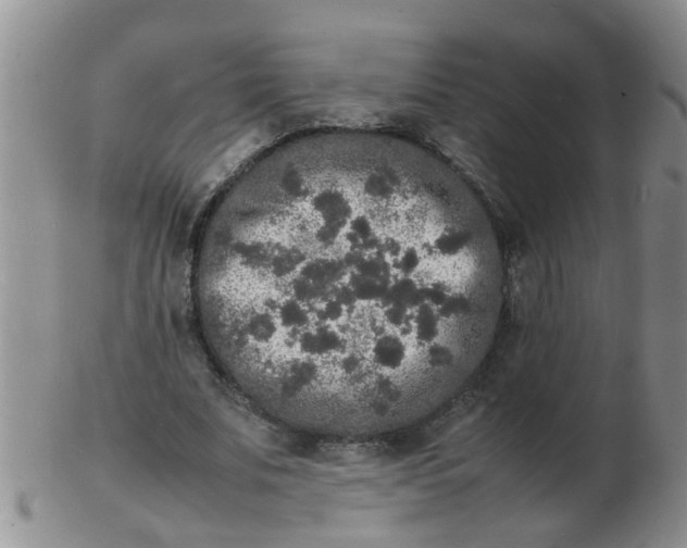 X0000103290679200809122008