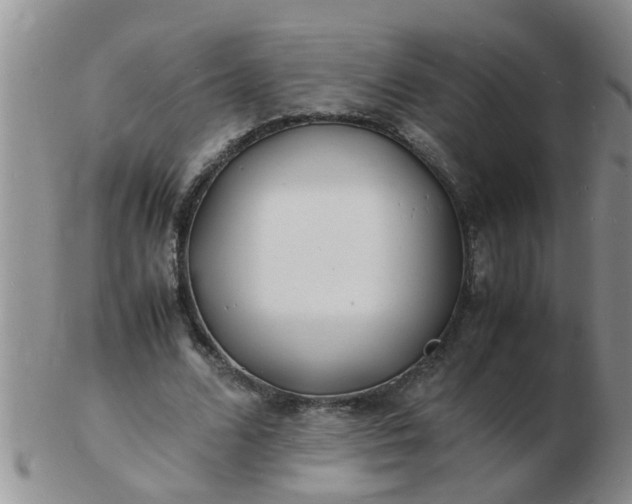 X0000103290680200809122008