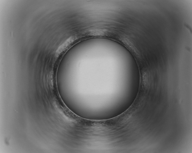 X0000103290682200809122008