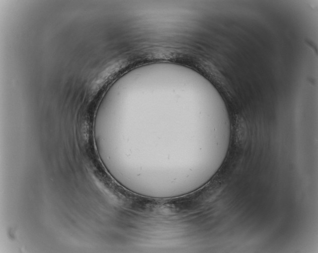 X0000103290683200809122008