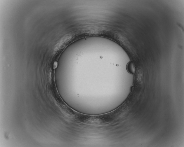 X0000103290685200809122008