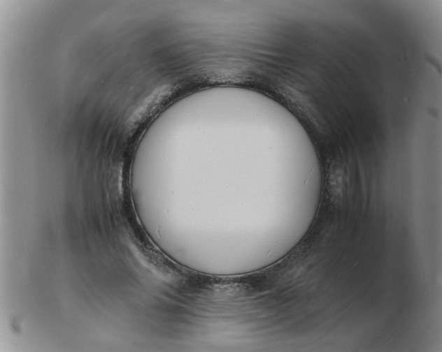 X0000103290686200809122008