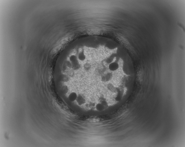 X0000103290687200809122008