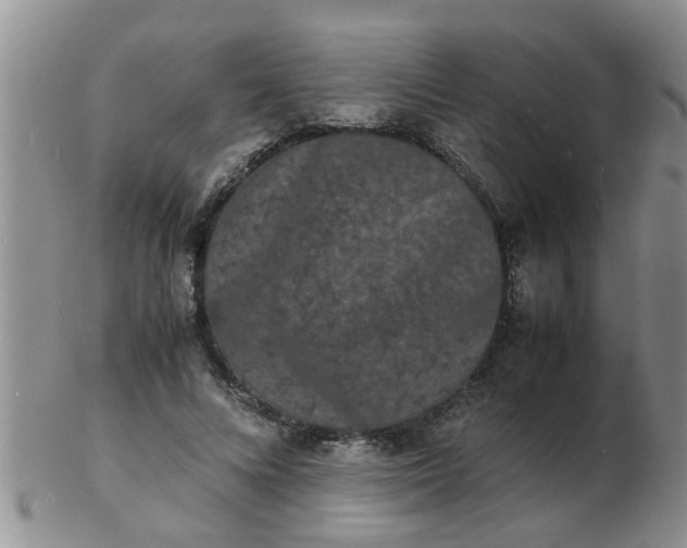 X0000103290688200809122008