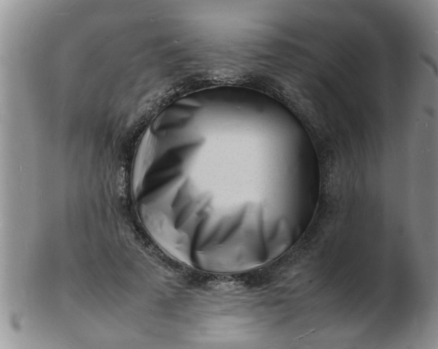 X0000103290689200809122008