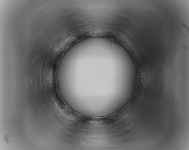 X0000103290690200809122008