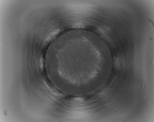 X0000103290692200809122008