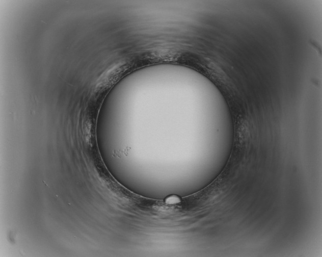 X0000103290693200809122008