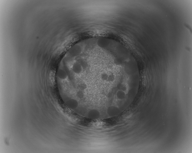 X0000103290695200809122008