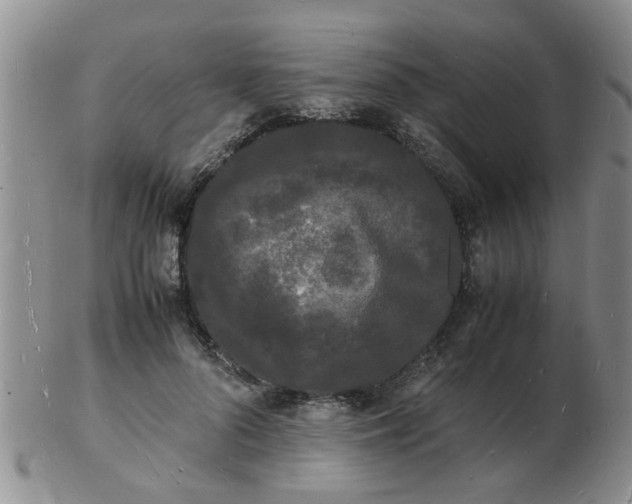 X0000103290696200809122008