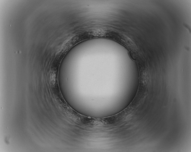 X0000103290697200809122008