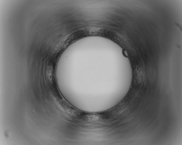 X0000103290698200809122008