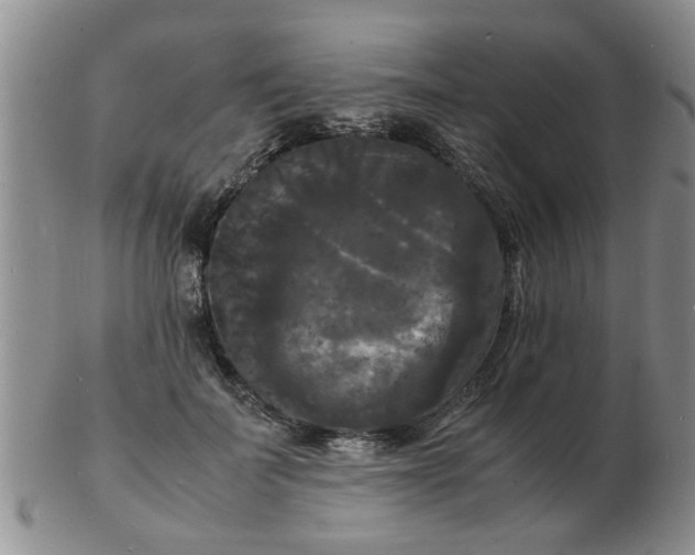 X0000103290699200809122008