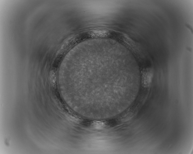 X0000103290701200809122008