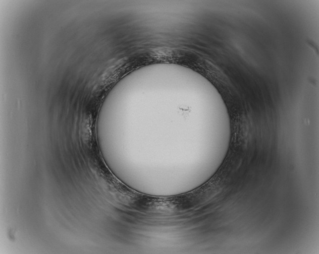 X0000103290702200809122008