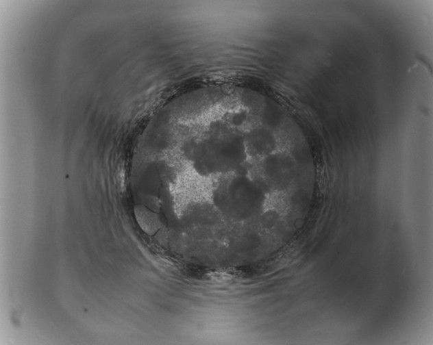 X0000103290703200809122008