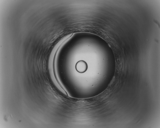 X0000103290704200809122008