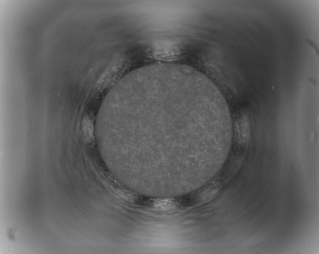 X0000103290705200809122008