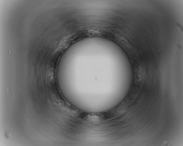 X0000103290706200809122008