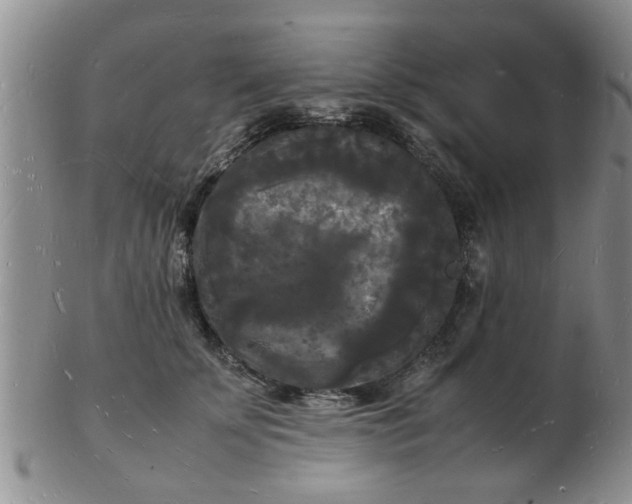 X0000103290707200809122008